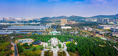 广发体育app官网登录,广发（中国）,产业